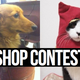 Illustration for article titled Shoppin' Cats and Dogs